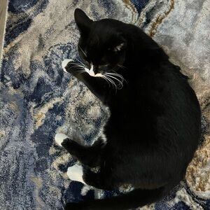 Meet your Posher, Annette